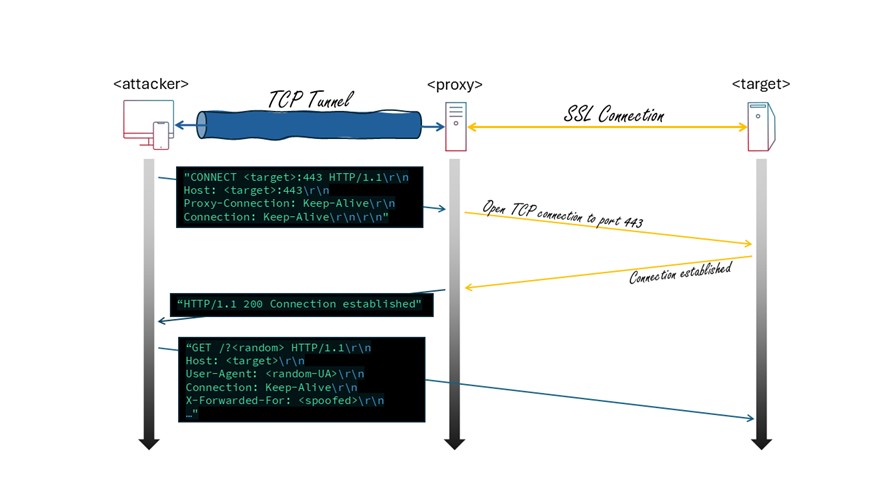 Figure 13: A HTTPS request tunneled through a Proxy